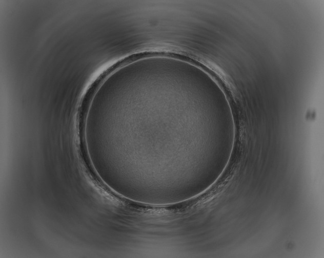 X0000097771120200803071311