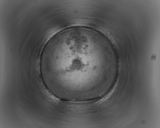 X0000097771121200803071311