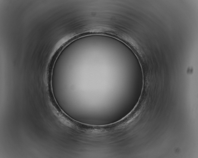 X0000097771122200803071311