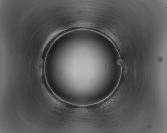 X0000097771123200803071311