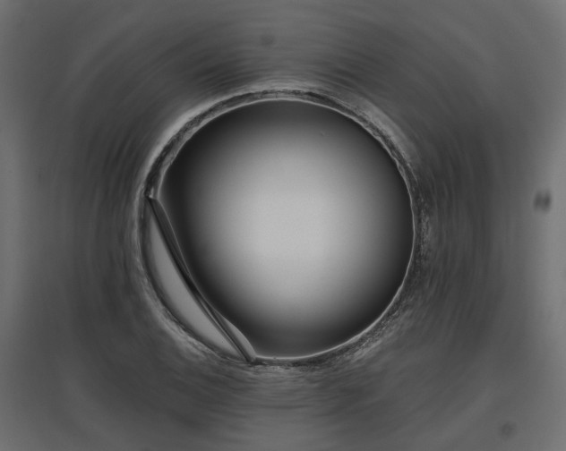 X0000097771124200803071311