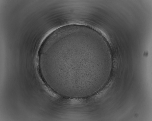 X0000097771125200803071311