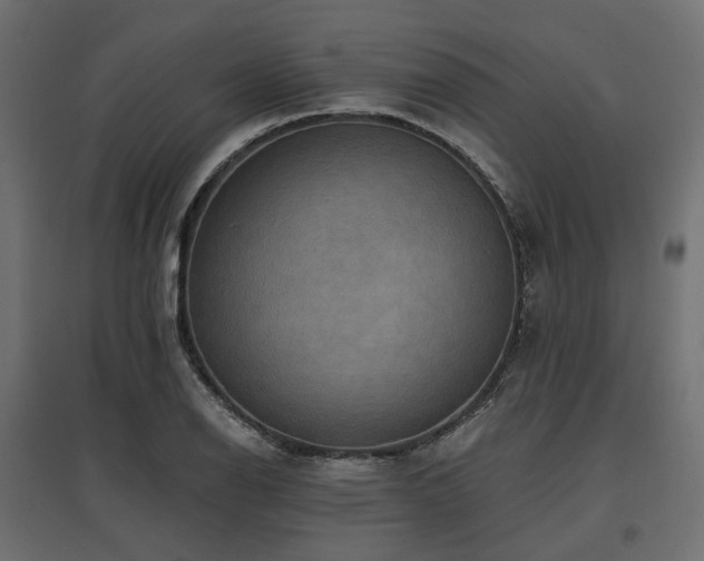 X0000097771126200803071311