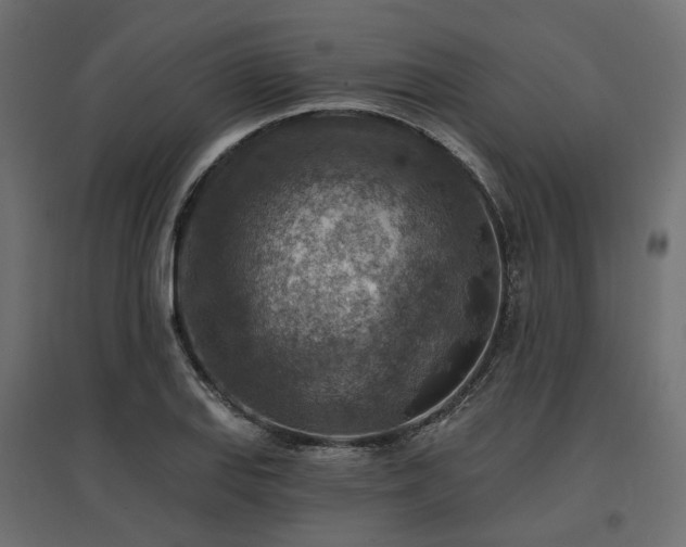 X0000097771127200803071311