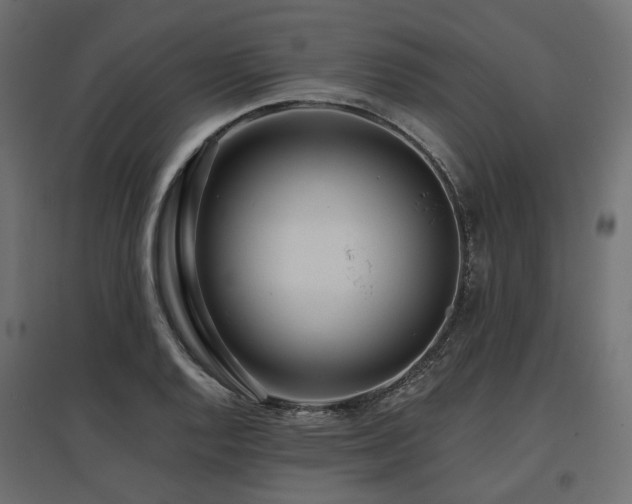X0000097771128200803071311