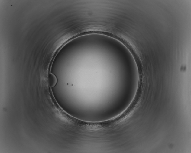 X0000097771129200803071311
