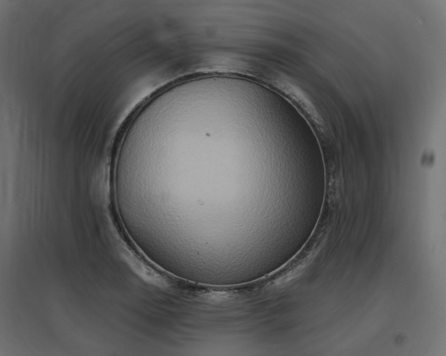X0000097771130200803071311