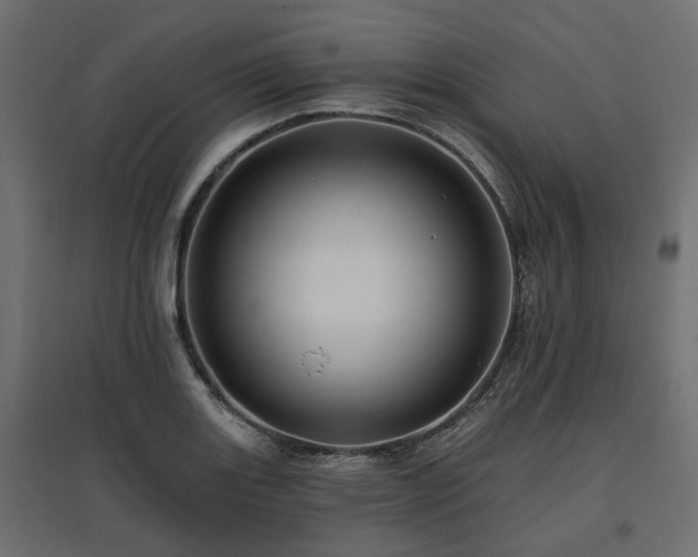 X0000097771131200803071311
