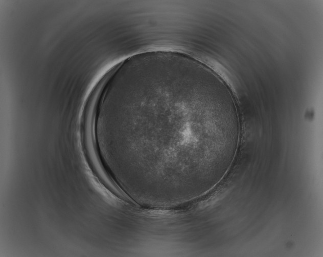 X0000097771132200803071311