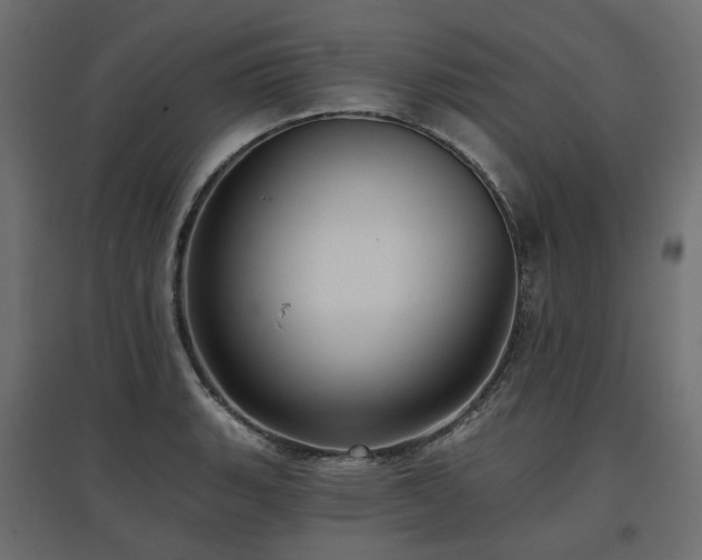 X0000097771135200803071311