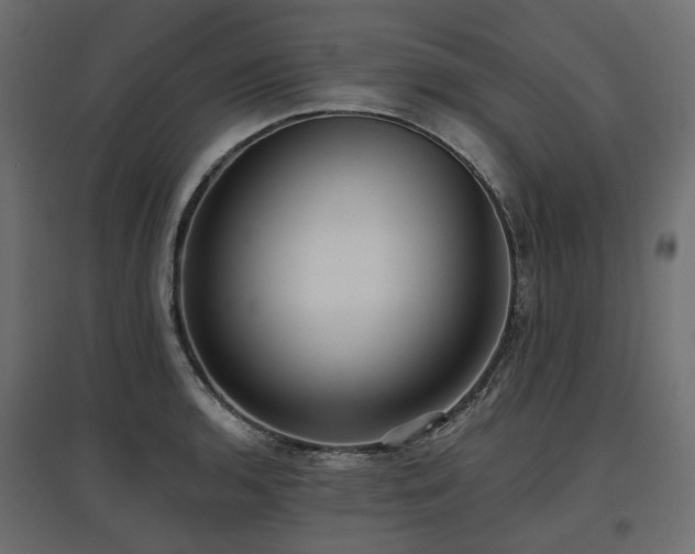 X0000097771136200803071311