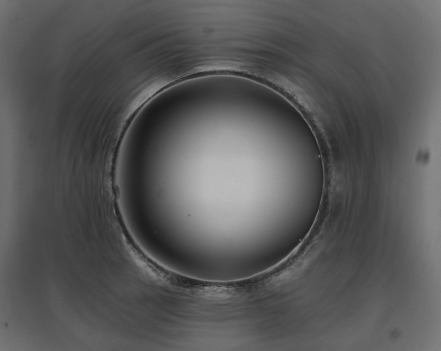 X0000097771137200803071311