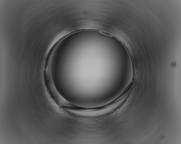X0000097771138200803071311