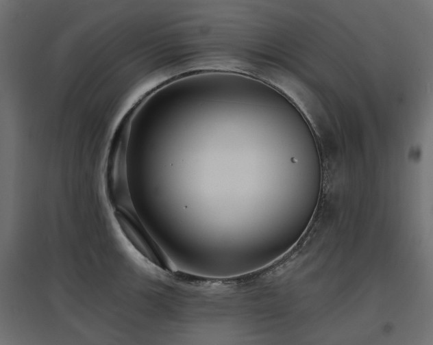 X0000097771139200803071311