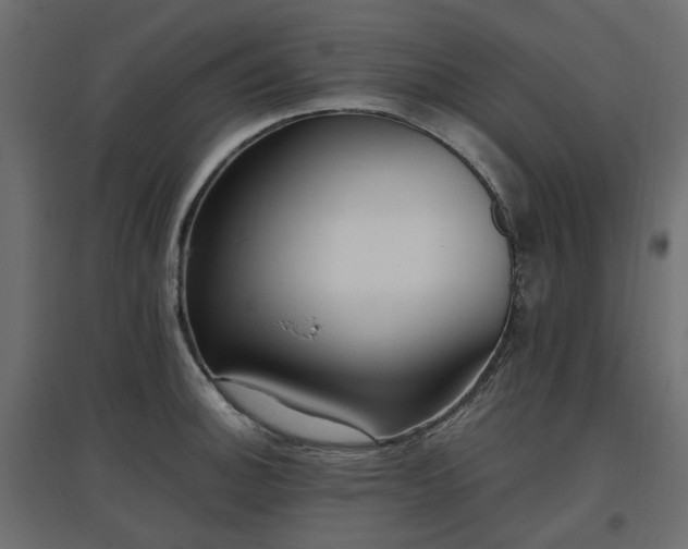 X0000097771140200803071311