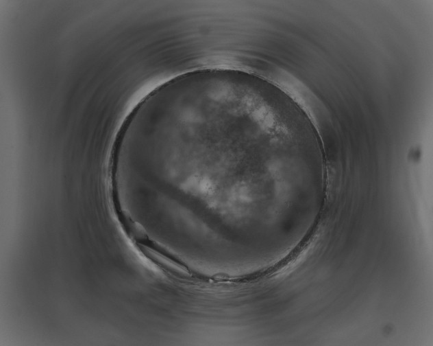 X0000097771141200803071311