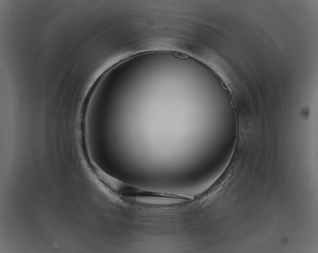 X0000097771142200803071311