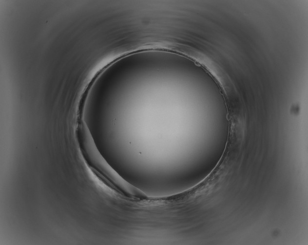 X0000097771143200803071311