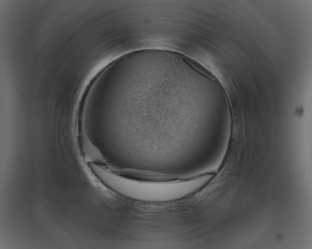 X0000097771144200803071311