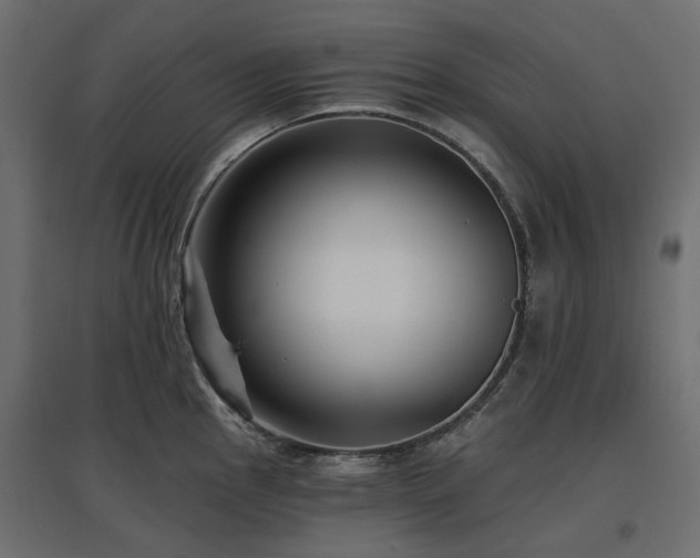 X0000097771145200803071311