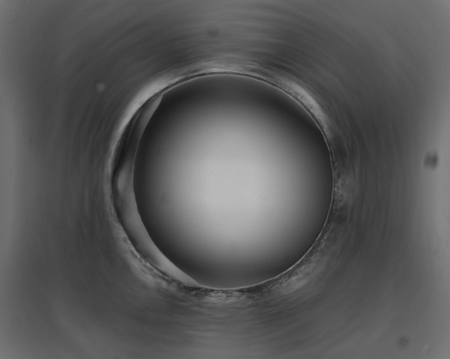 X0000097771146200803071311