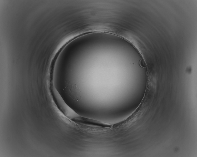 X0000097771147200803071311