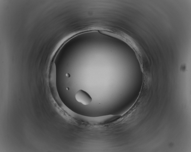 X0000097771148200803071311