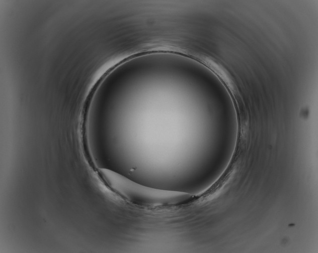 X0000097771149200803071311