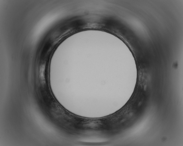 X0000097771150200803071311