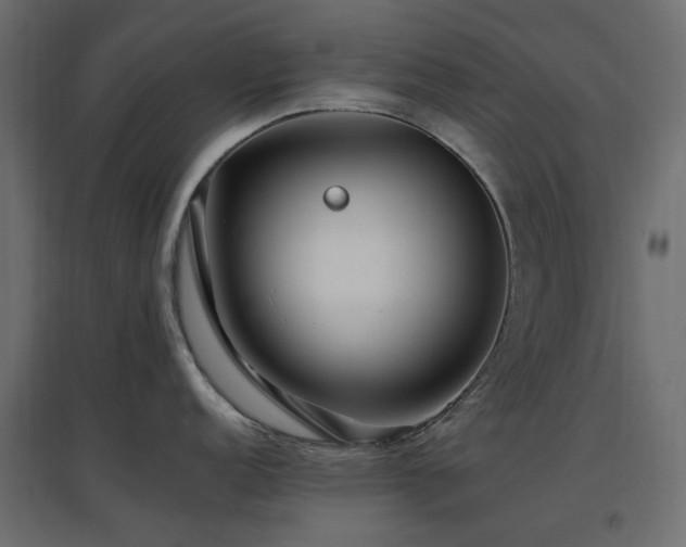 X0000097771152200803071311