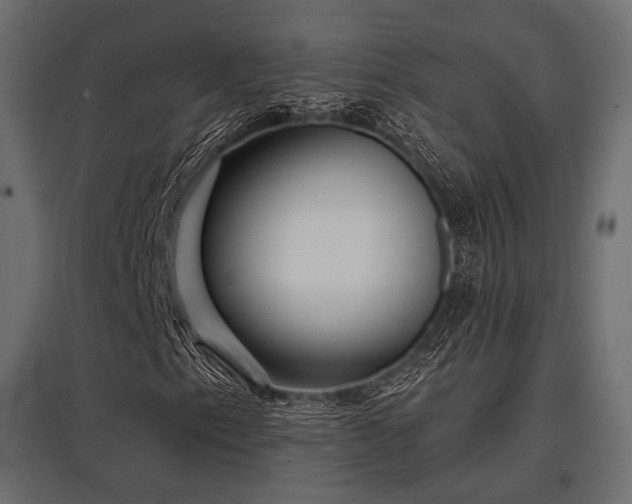 X0000097771153200803071311