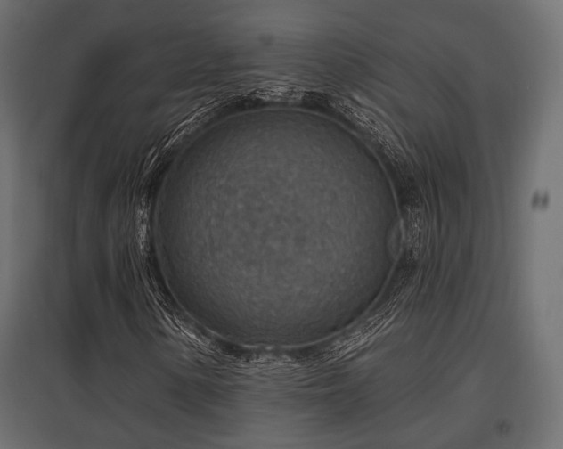 X0000097771154200803071311