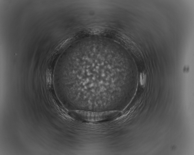 X0000097771155200803071311