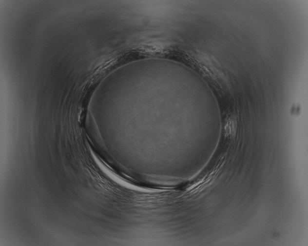 X0000097771156200803071311