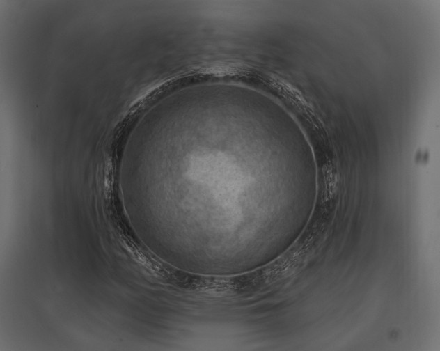 X0000097771158200803071311