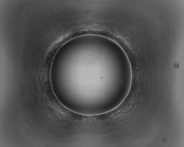 X0000097771159200803071311