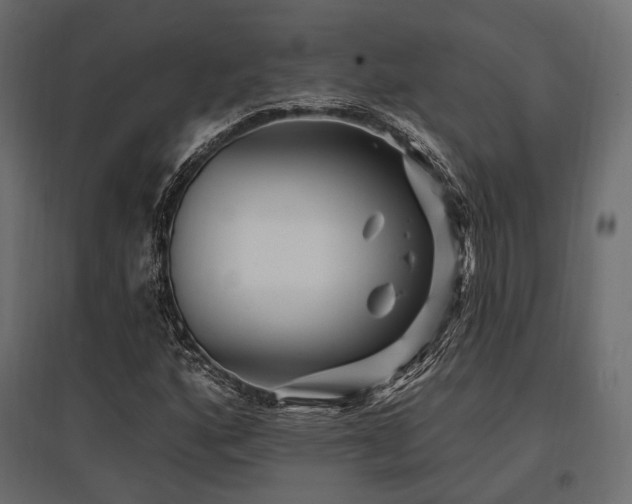 X0000097771160200803071311
