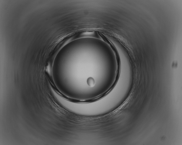 X0000097771161200803071311