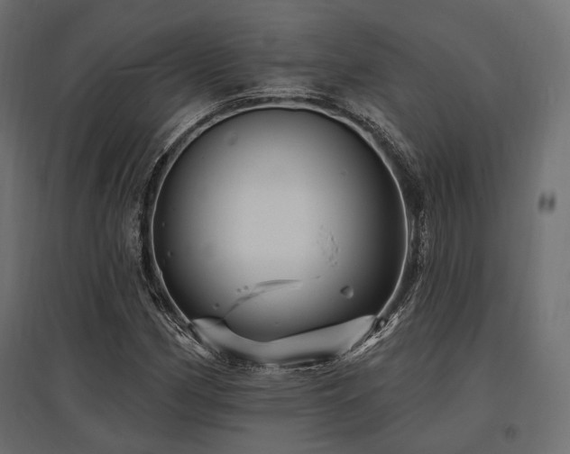 X0000097771162200803071311