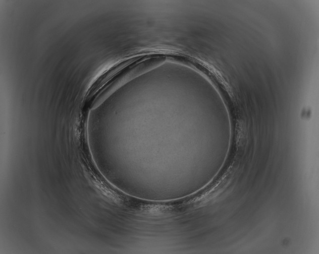 X0000097771163200803071311