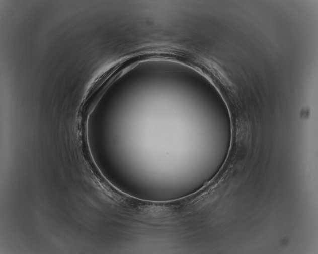 X0000097771164200803071311