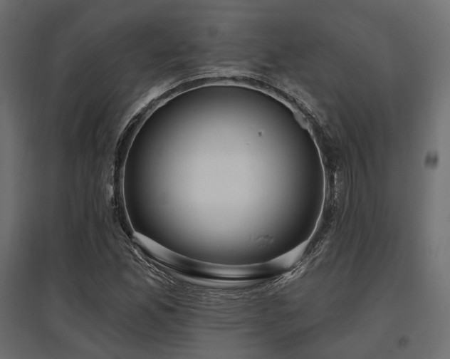 X0000097771165200803071311