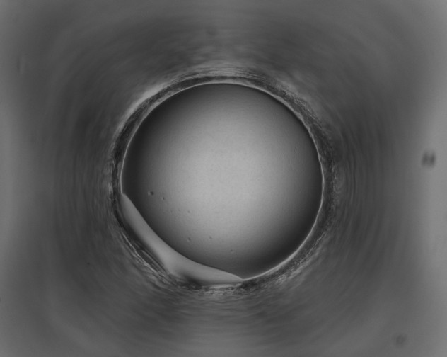 X0000097771166200803071311
