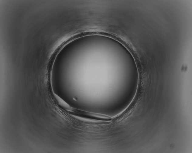 X0000097771167200803071311