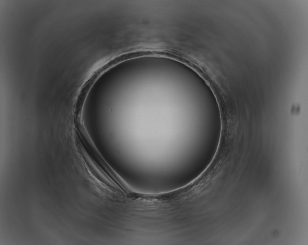 X0000097771168200803071311