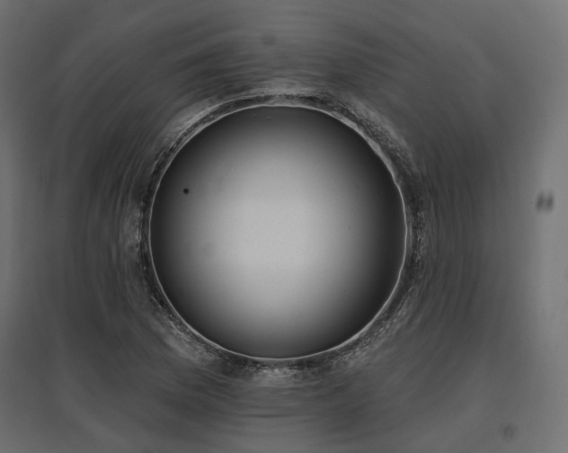 X0000097771169200803071311
