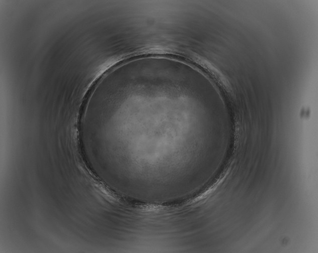 X0000097771170200803071310
