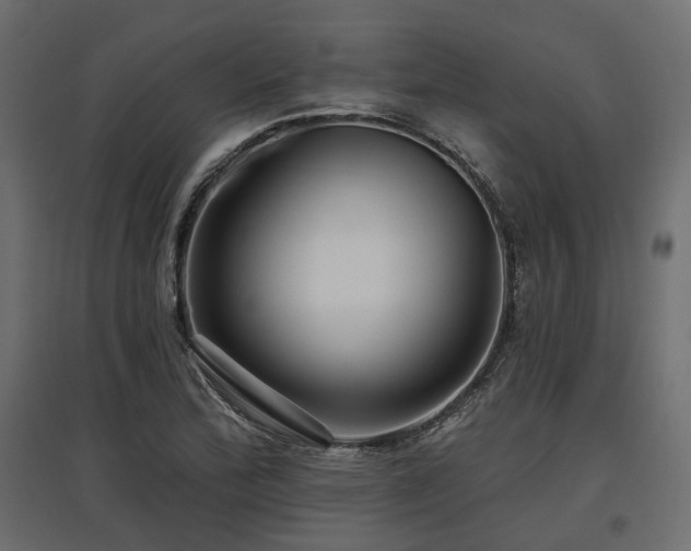 X0000097771172200803071310