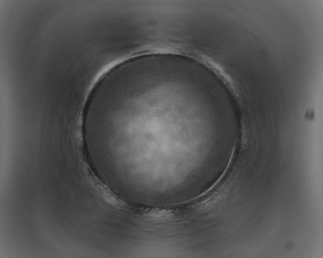 X0000097771174200803071310