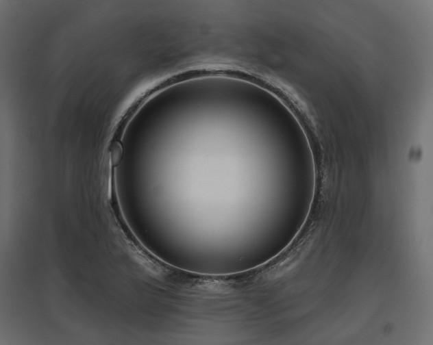 X0000097771175200803071310